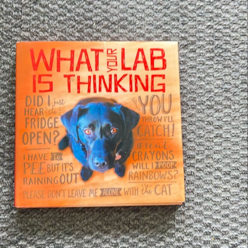 What Your Lab Is Thinking by Willow Creek Press