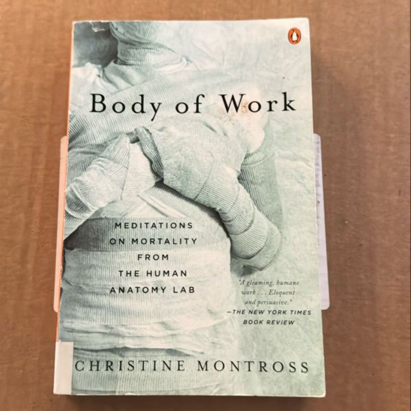 Body of Work