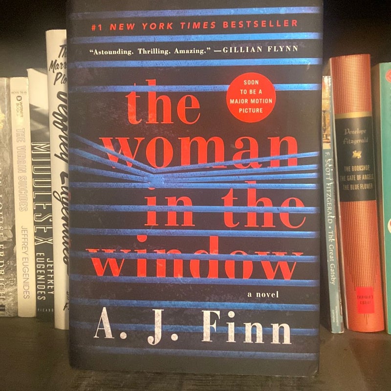 The Woman in the Window