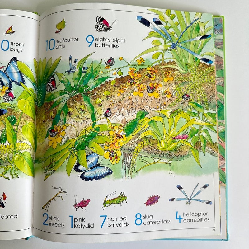 1001 Bugs to Spot, Usborne 1001 Bugs to Spot