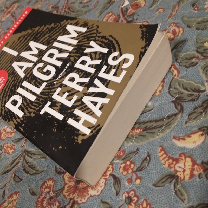 I Am Pilgrim