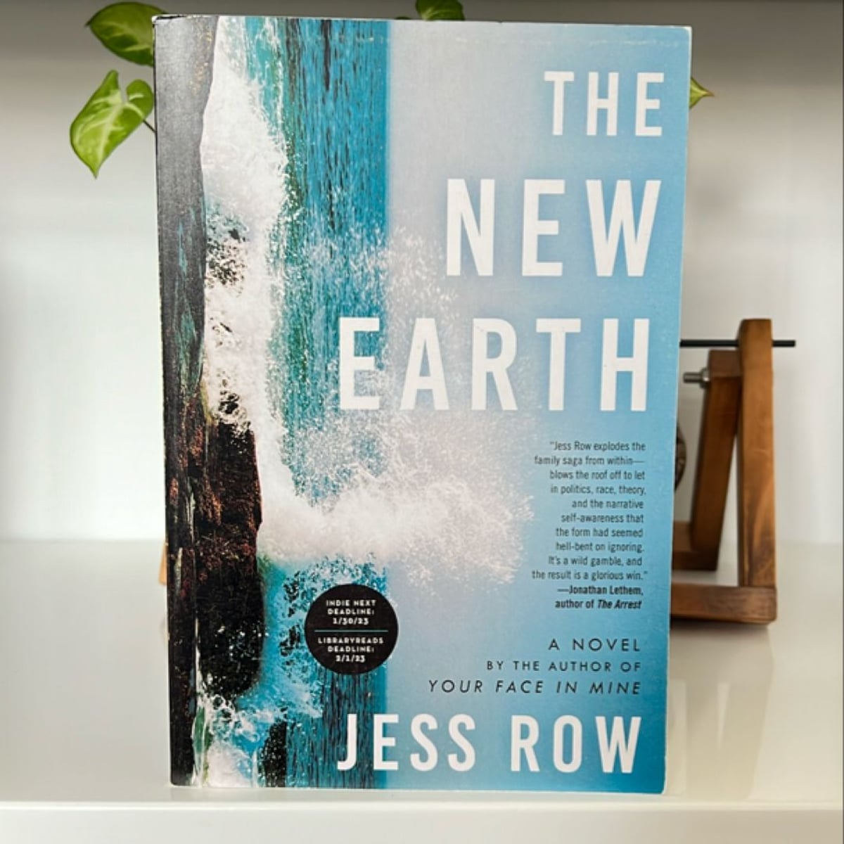 The New Earth by Jess Row