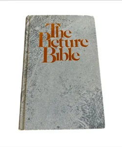 The Picture Bible Comic Art Book