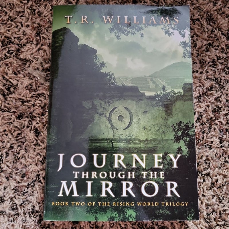 Journey Through the Mirror by T. R. Williams