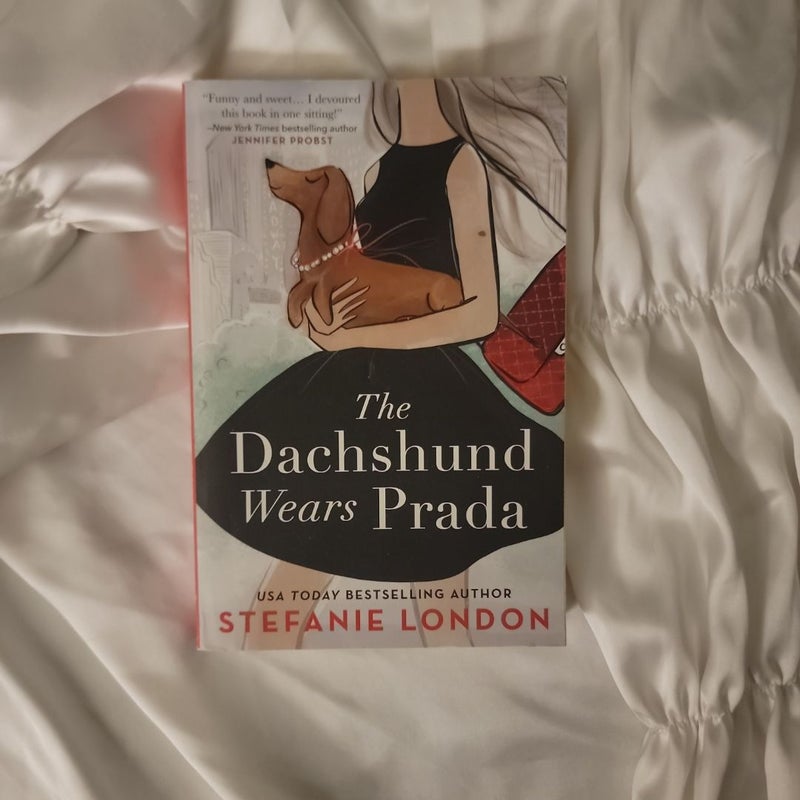 The Dachshund Wears Prada