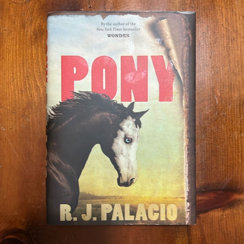 Pony