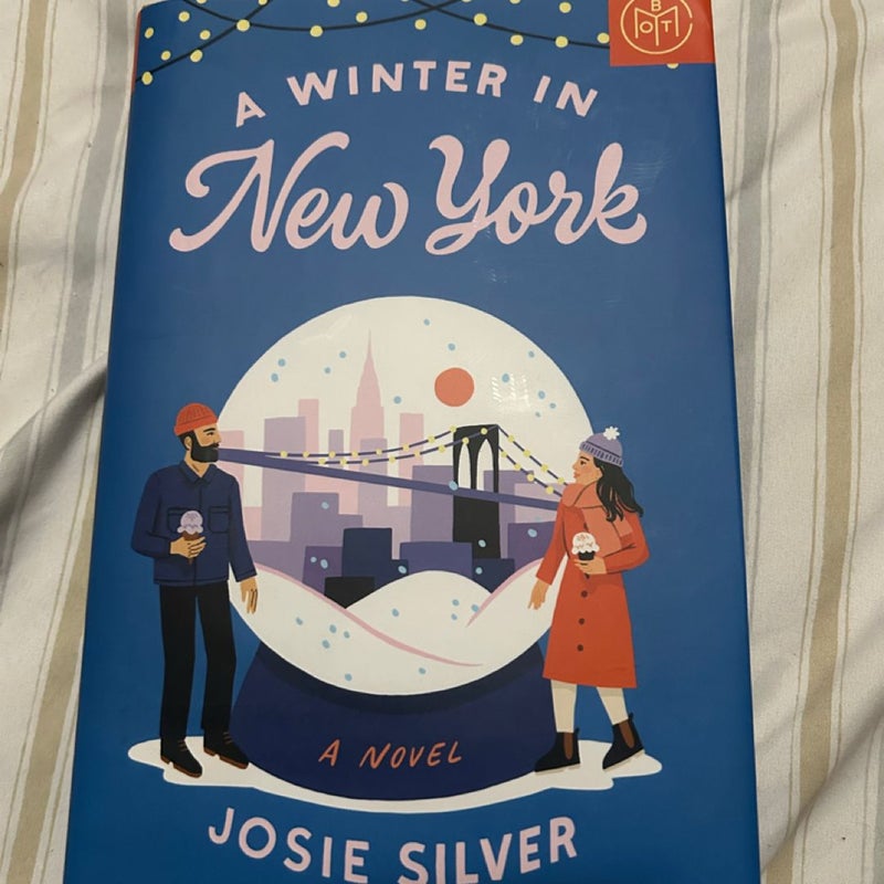 A Winter in New York