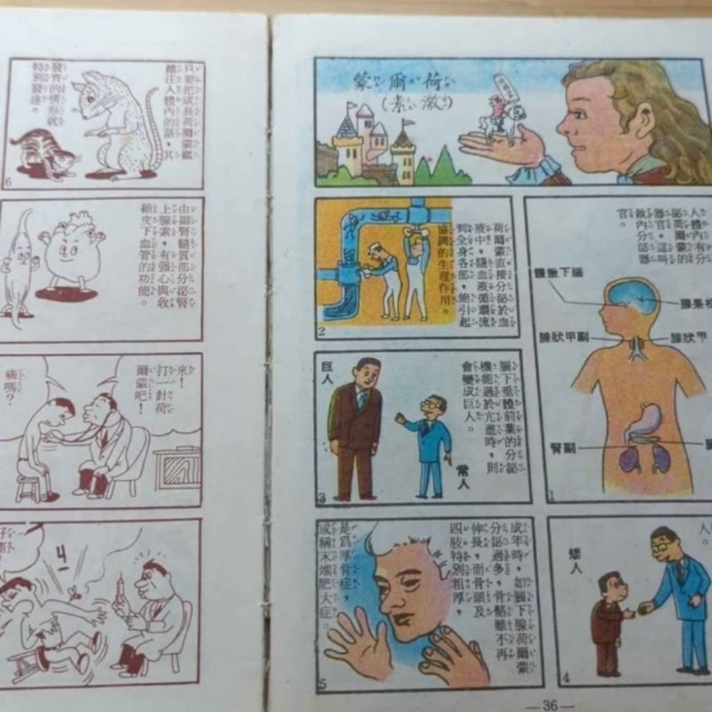 Vintage Japanese Children's Books