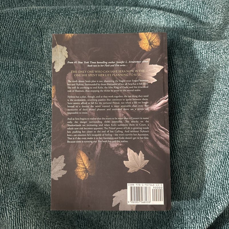 A Light in the Flame by Jennifer L. Armentrout, Paperback Pangobooks