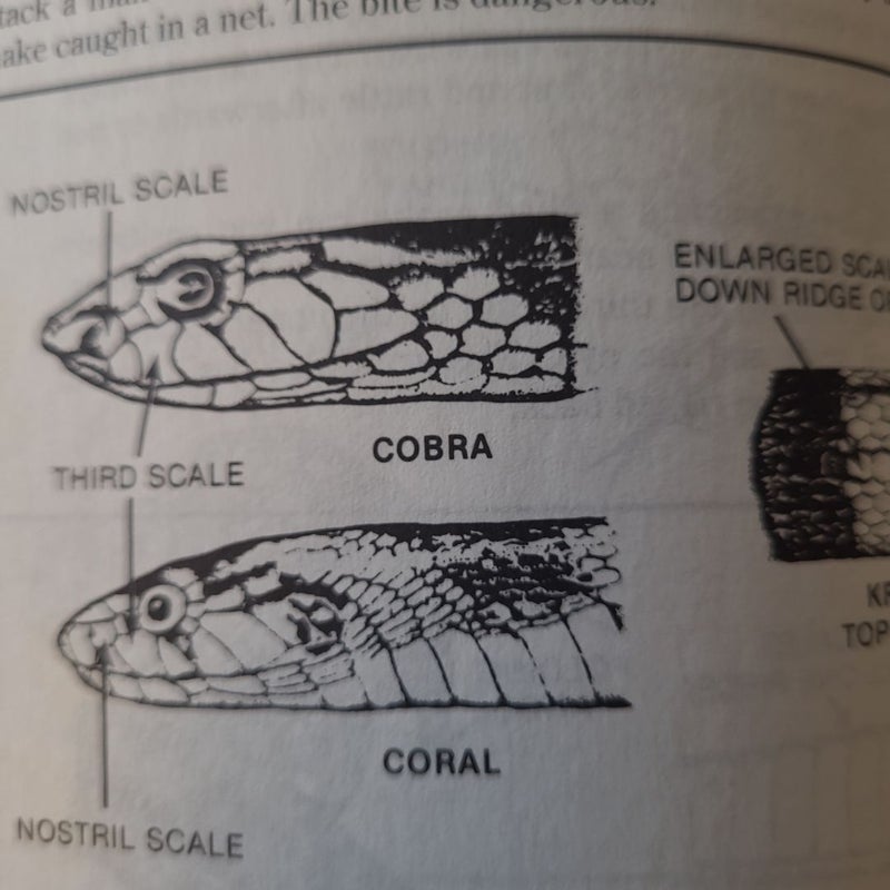 Us Army Survival Manual