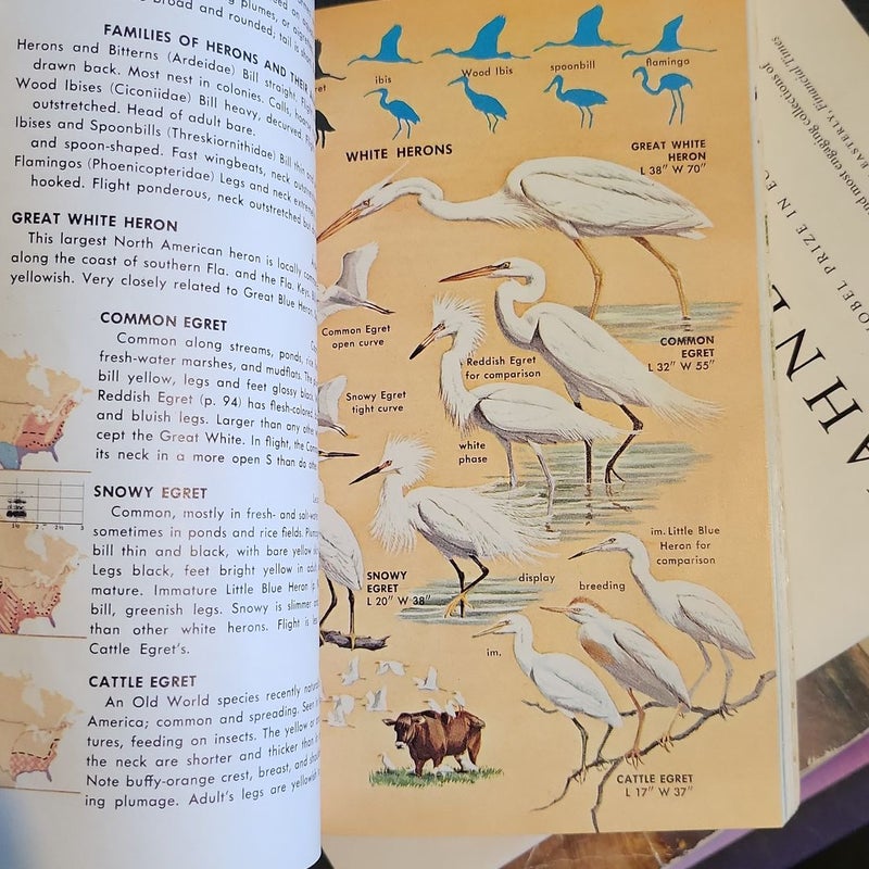 A GUIDE TO FIELD IDENTIFICATION: Birds of North America