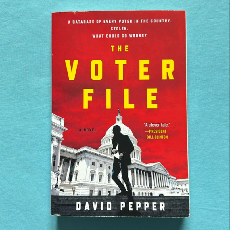 The Voter File