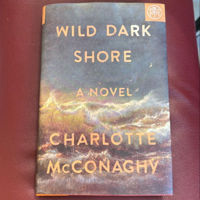 Wild Dark Shore