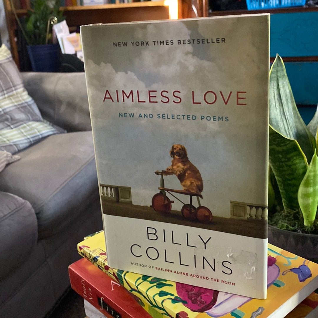 Aimless Love