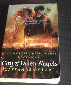 City of Fallen Angels