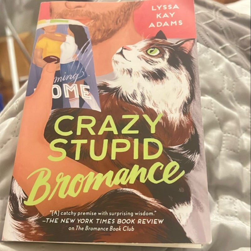 Crazy Stupid Bromance