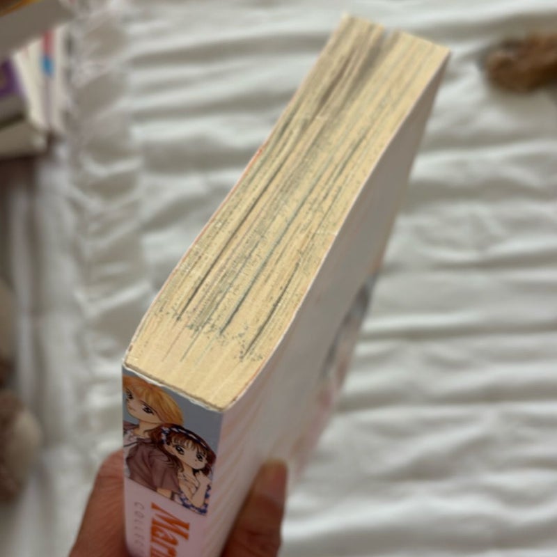 Marmalade Boy: Collector's Edition 1