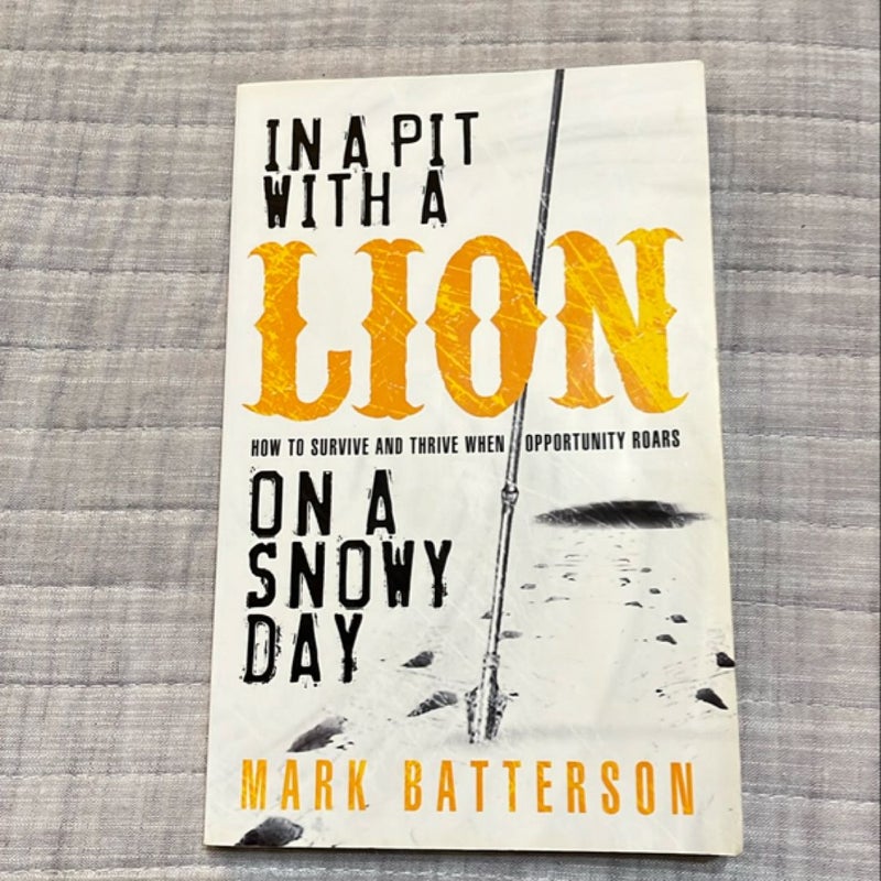 In a Pit with a Lion on a Snowy Day