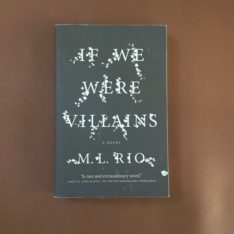 If We Were Villains