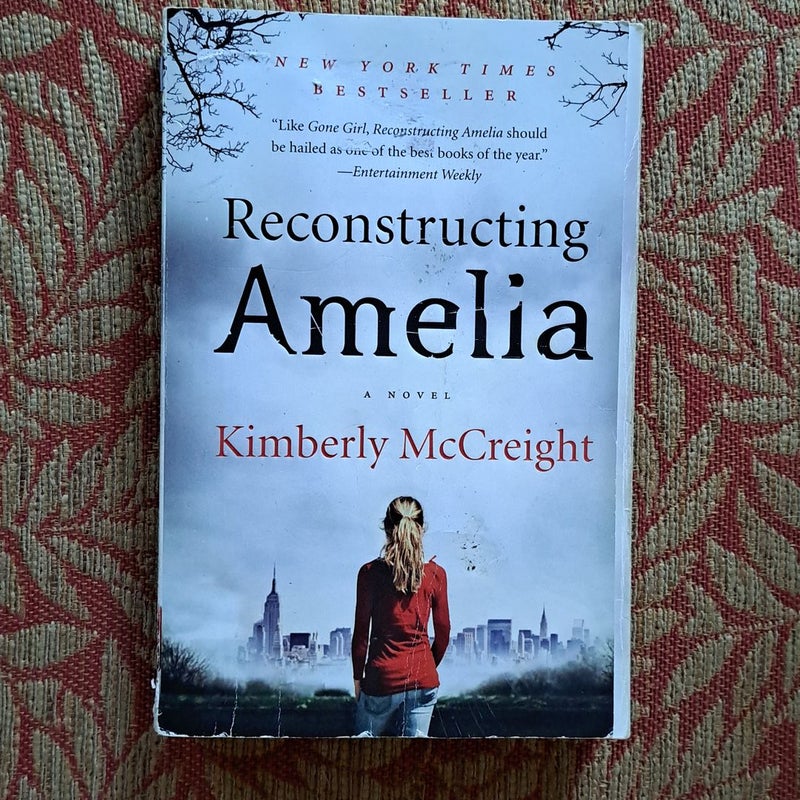 Reconstructing Amelia