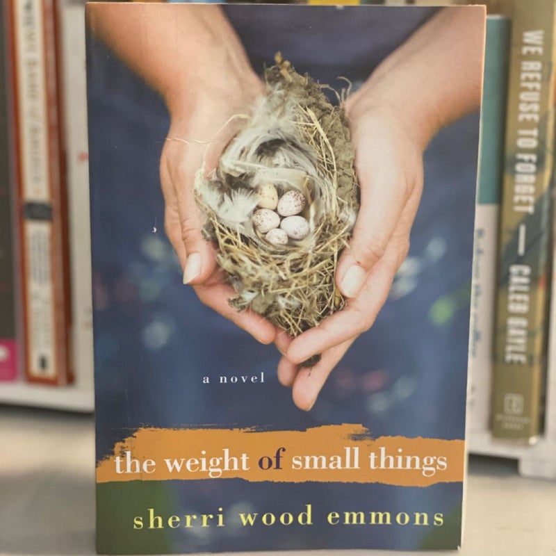 The Weight of Small Things