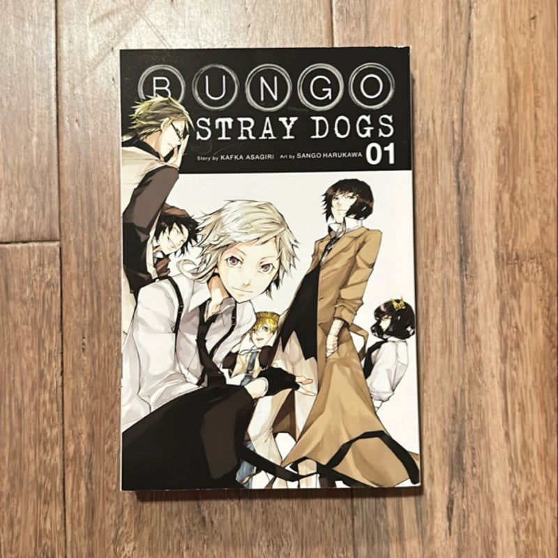 Bungo Stray Dogs, Vol. 1