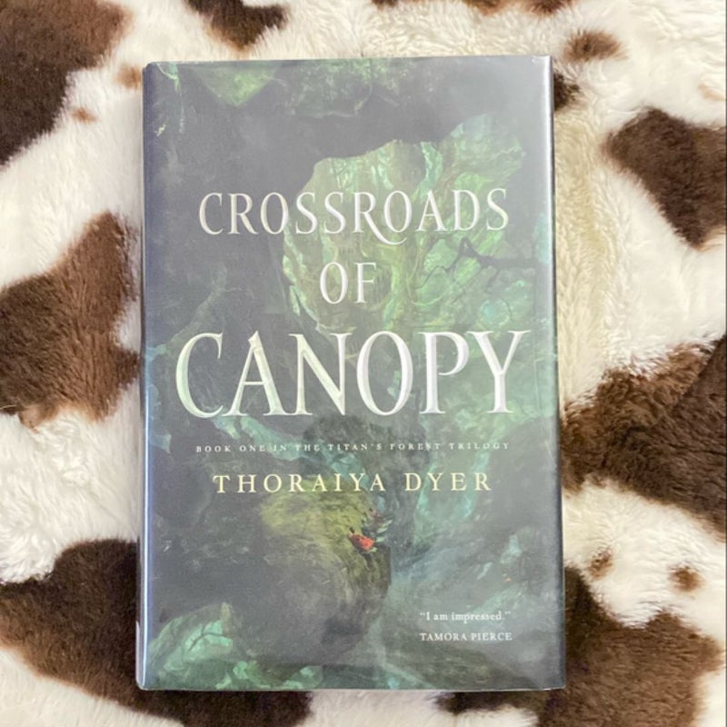 Crossroads of Canopy