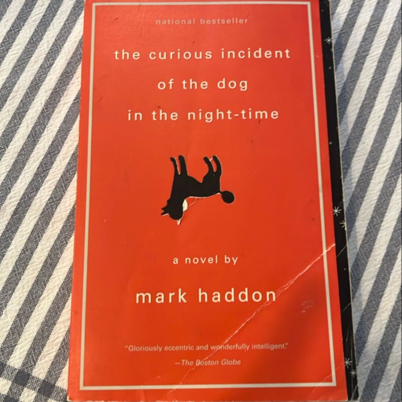 The Curious Incident of the Dog in the Night-Time