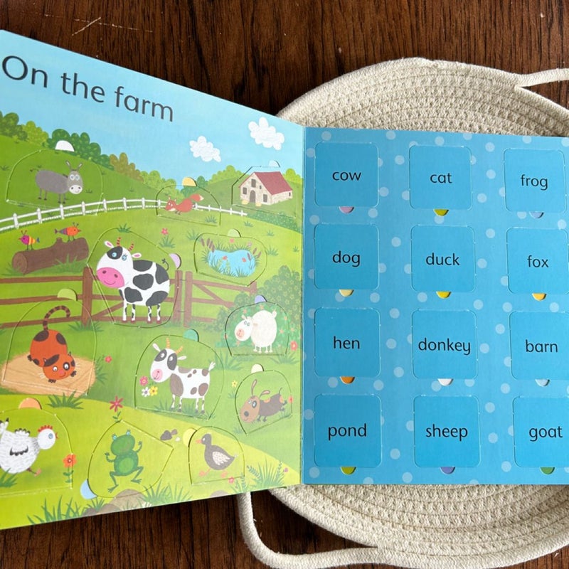 Lift-the-Flap Word Book