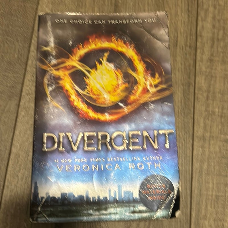 Insurgent and Divergent bundle 