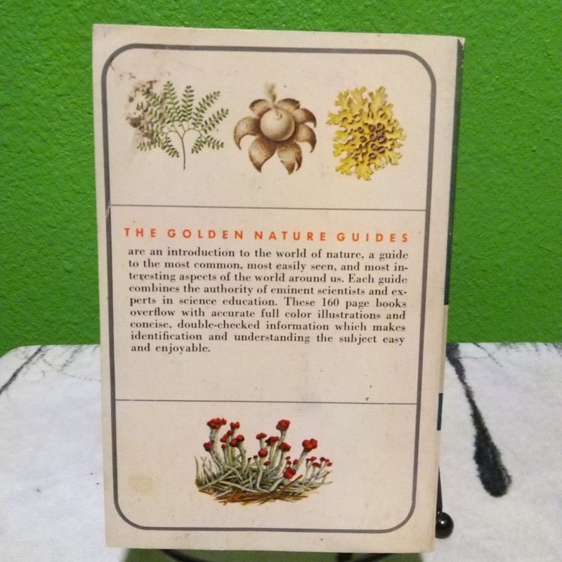 Non-Flowering Plants - Vintage 1967