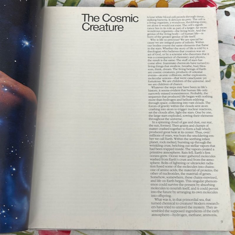 The Incredible Machine