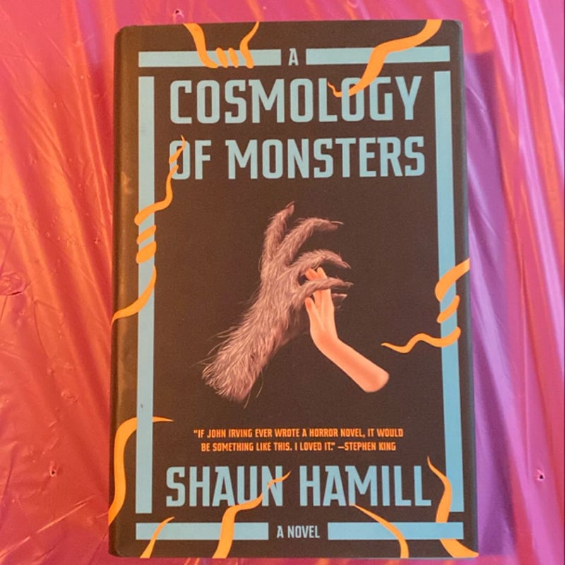 A Cosmology of Monsters