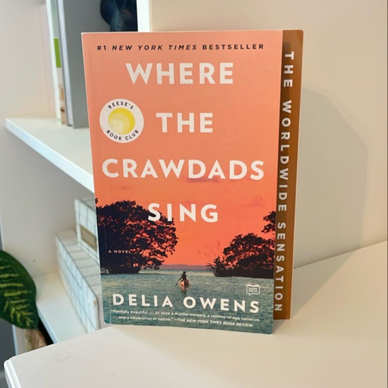 Where the Crawdads Sing