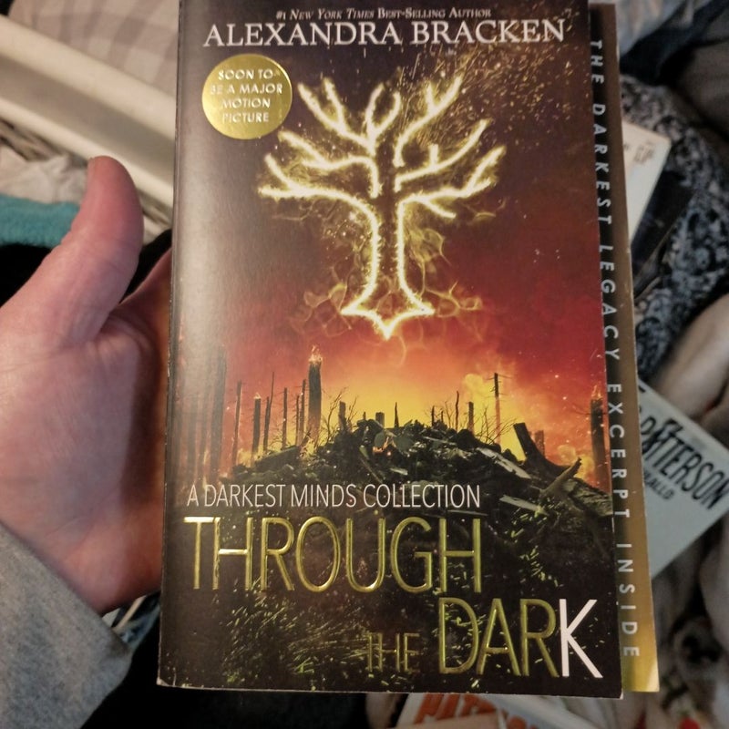 Through the Dark (Bonus Content) (a Darkest Minds Collection)