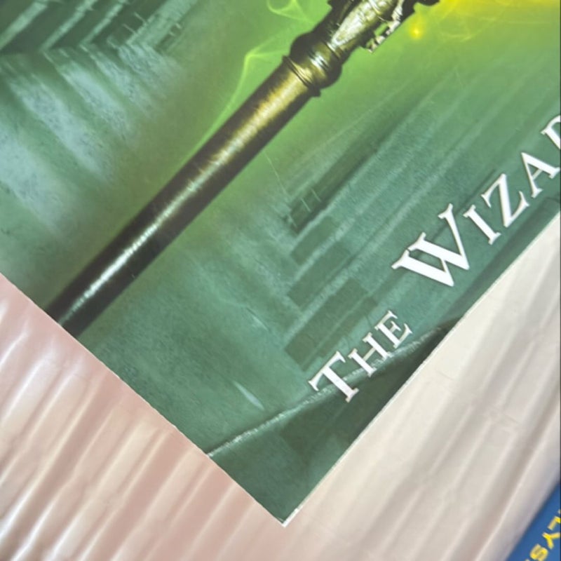 The Wizard Heir