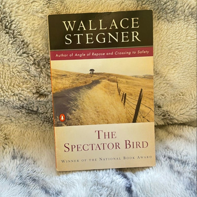 The Spectator Bird