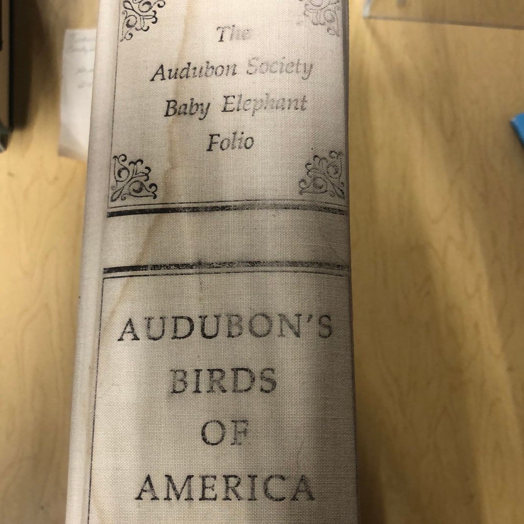 Audubon Society Baby Elephant Folio