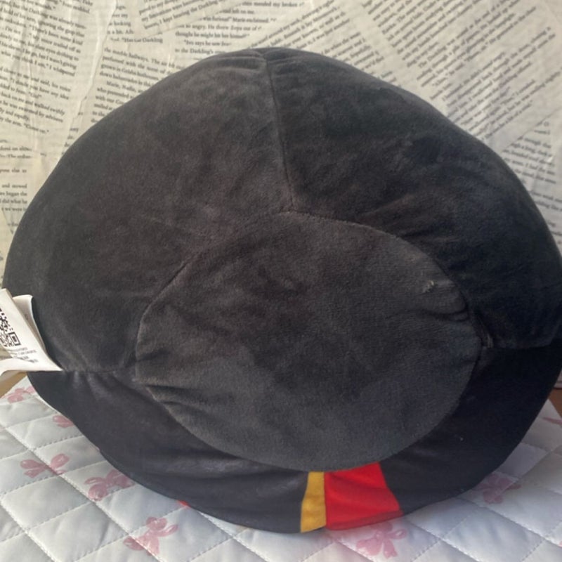 Harry Potter plushie pillow