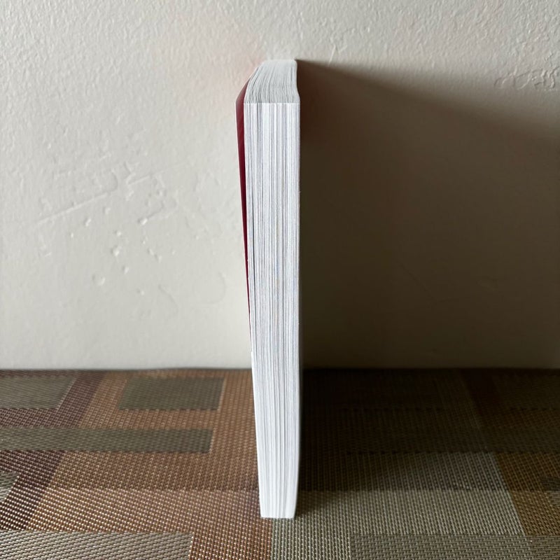 The Paris Novel