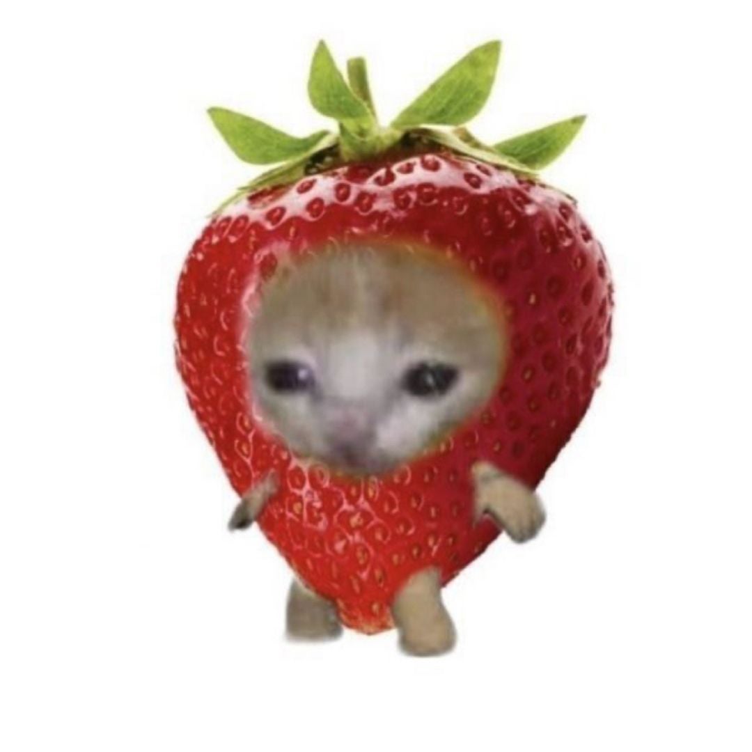 Marrissa