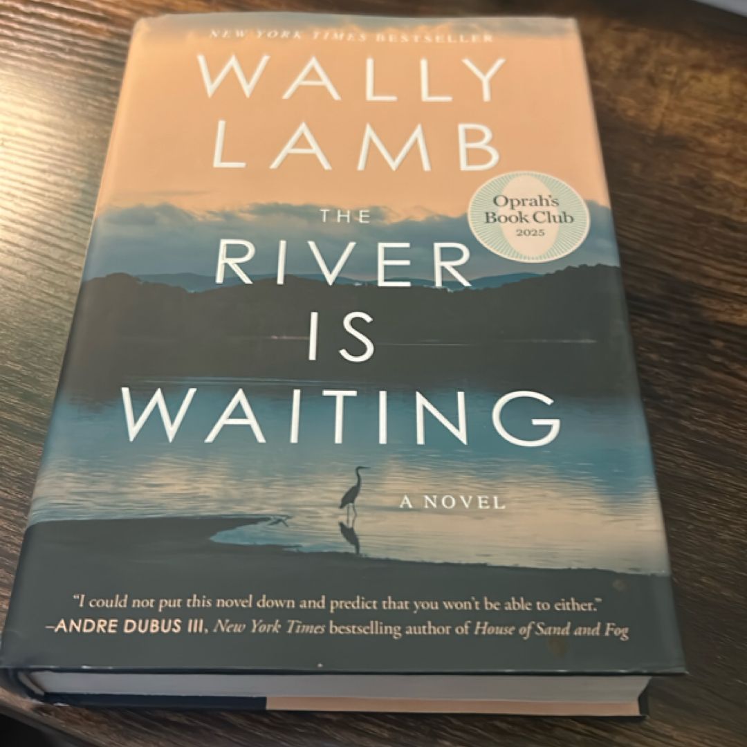 The River Is Waiting (Oprah's Book Club)