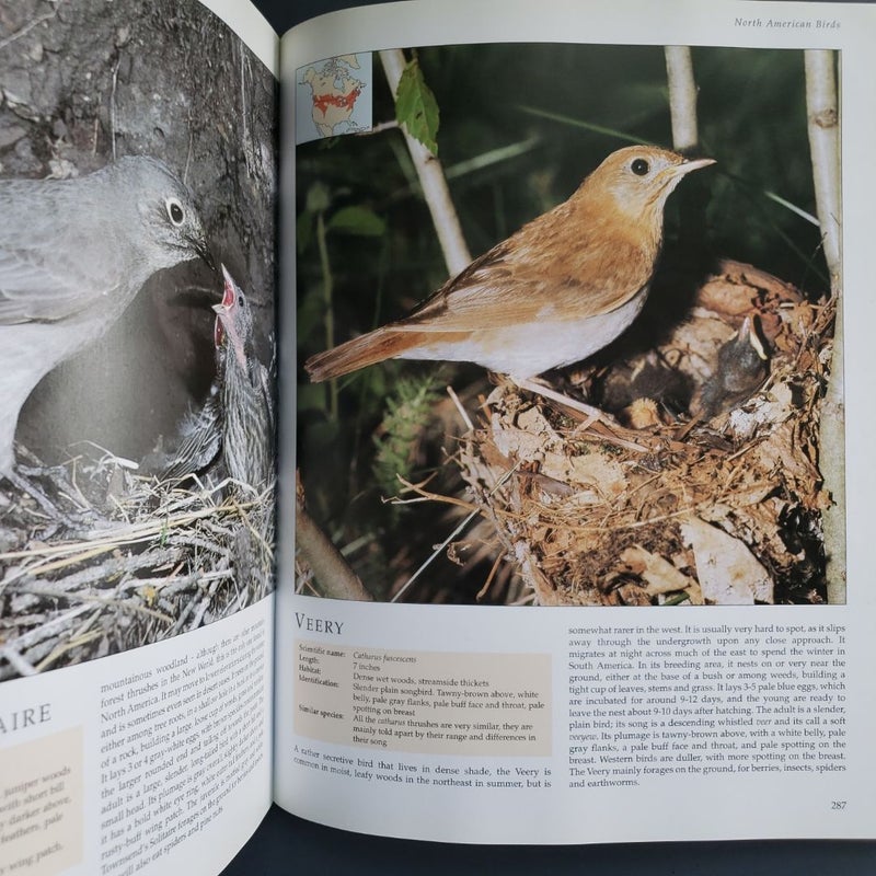 The Encyclopedia of North American Birds