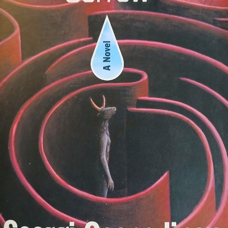 The Physics of Sorrow