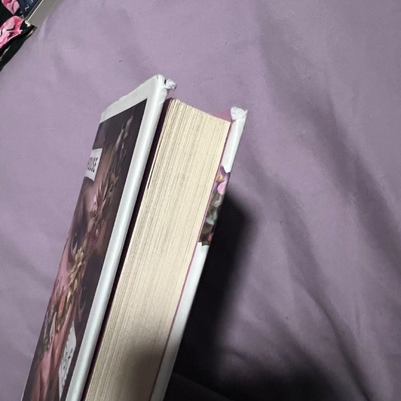 The Last Bloodcarver and House of Hollow books 