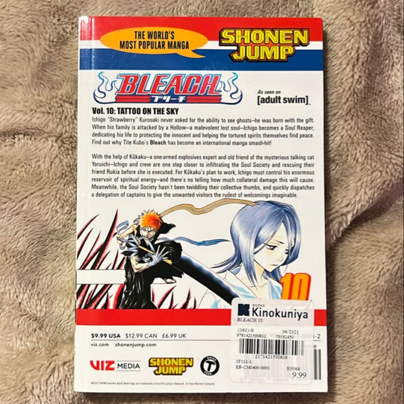 Bleach, Vol. 10