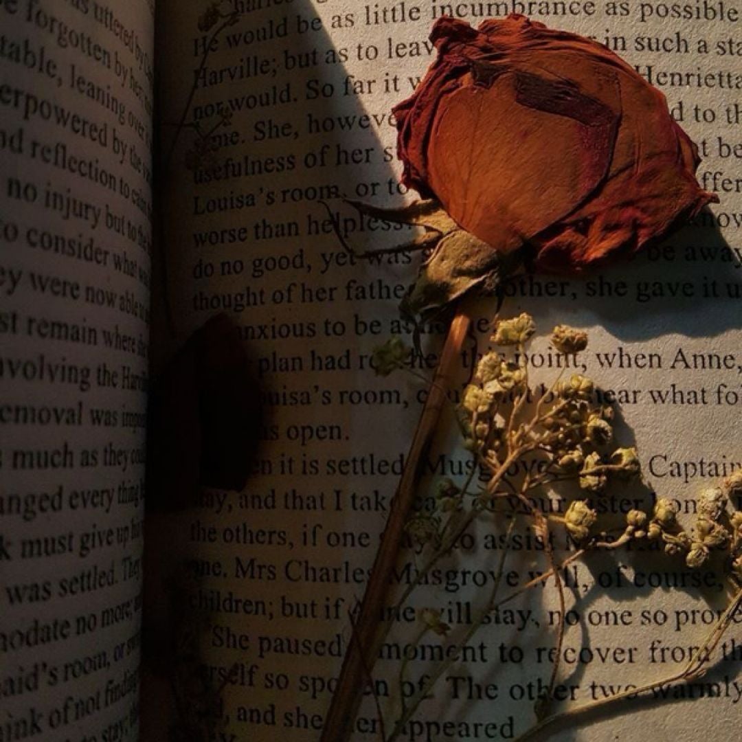 Paper Petals