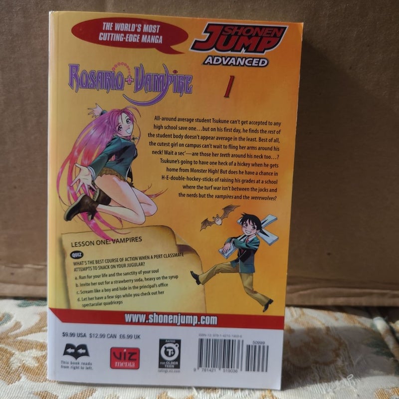 Rosario+Vampire, Vol. 1