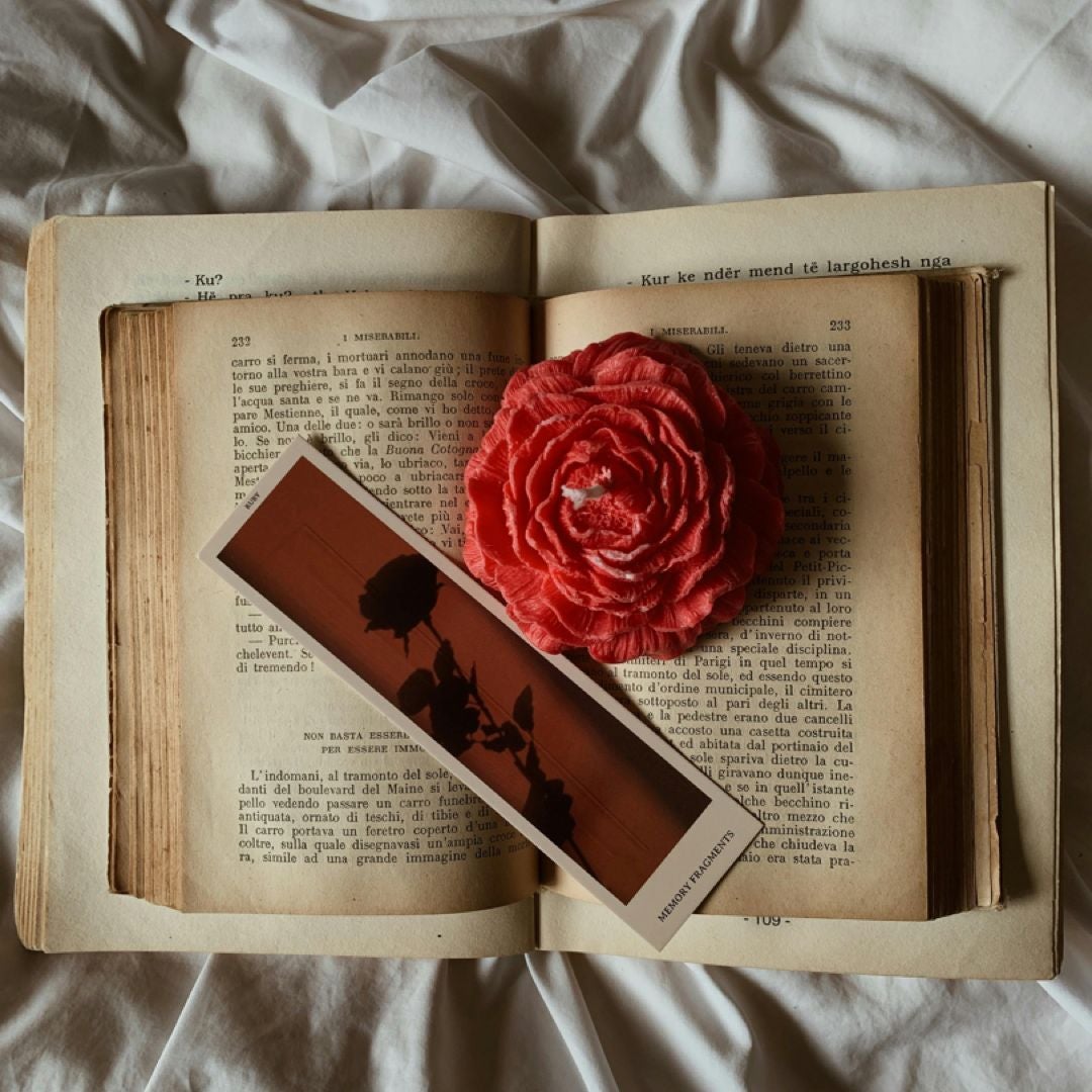 Dj’s Book Nook