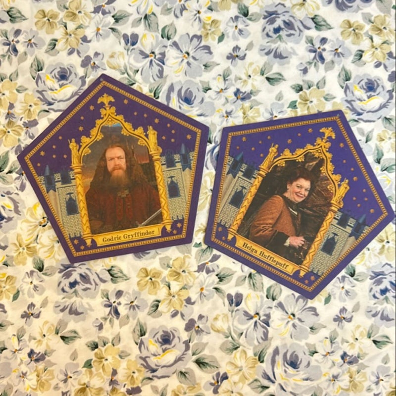 Harry Potter and the Philosopher's Stone Bundle